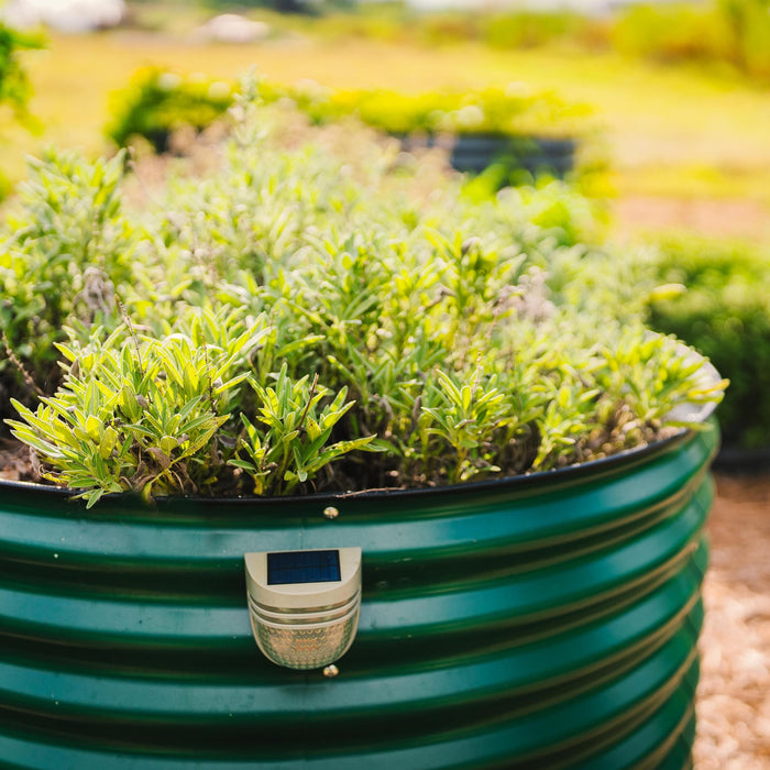 Vibrant herbs grow in a green corrugated metal raised garden bed with an attached solar light. Sustainable outdoor gardening.