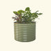 Round olive green corrugated metal raised garden bed filled with lush green plants.
