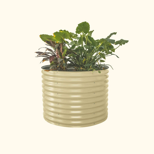 Tan corrugated steel raised garden bed, round, filled with lush green and maroon plants. Outdoor gardening.