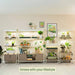 Modular indoor plant shelves with grow lights, diverse potted plants, seedlings, and integrated storage for home gardening.