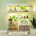 Customizable indoor garden shelving with LED grow lights, diverse houseplants, and smart hydroponic planters for home growing.