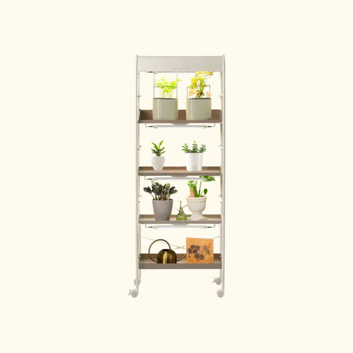 Vego Garden 5-tier mobile plant stand with integrated LED grow lights, lush potted herbs, houseplants, watering can & bee decor.