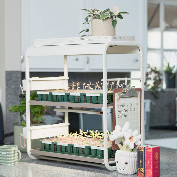 White multi-tier seedling grow rack with young plant sprouts, a potted houseplant, and a plant care checklist. Perfect for indoor gardening.