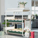 White multi-tier seedling grow rack with young plant sprouts, a potted houseplant, and a plant care checklist. Perfect for indoor gardening.