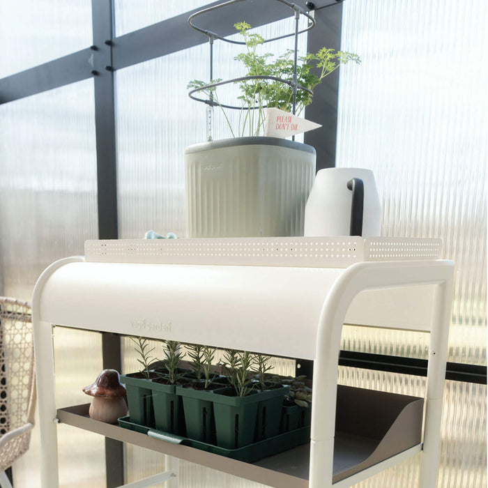 Indoor Vego Garden smart herb garden with parsley, rosemary, watering can on white plant stand in a bright greenhouse.