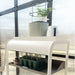 Indoor Vego Garden smart herb garden with parsley, rosemary, watering can on white plant stand in a bright greenhouse.