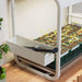 Home gardening setup: young pepper seedlings in trays under a grow light, with a gardening tool in a side caddy.
