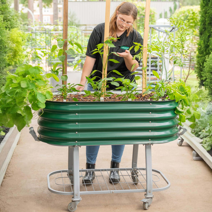 Woman tends young plants in a green Vega Garden mobile raised garden bed on wheels. Ideal for small space gardening.