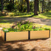 Modern light wood-look raised garden bed with dark posts, vibrant flowers, kale, and lush green plants in a sunny garden.