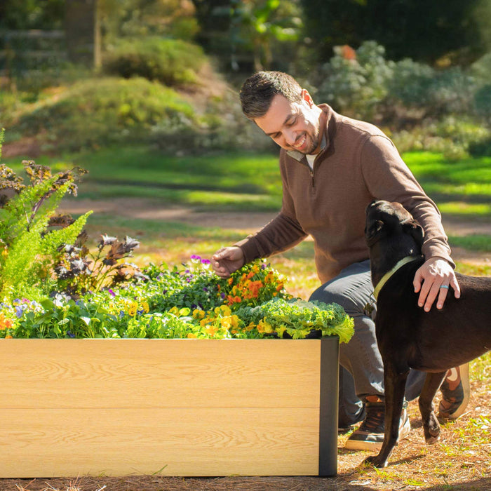 Smiling man and black dog tending a blonde wood raised garden bed with colorful flowers and fresh greens.