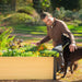 Smiling man and black dog tending a blonde wood raised garden bed with colorful flowers and fresh greens.