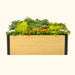 Modern wood raised garden bed with black trim, bursting with vibrant pansies, orange blooms, and green foliage.