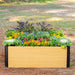 Wood grain raised garden bed with black frame, filled with vibrant pansies, orange flowers, and ornamental kale.