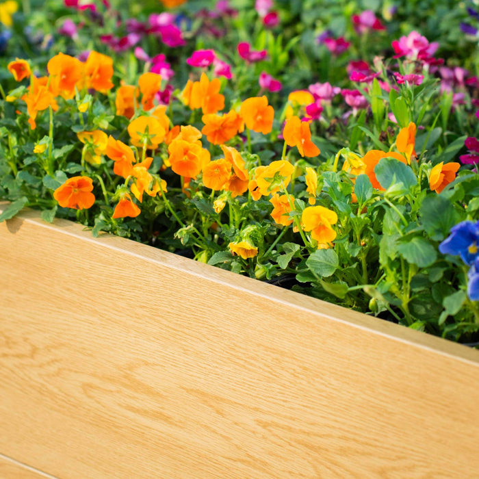 Light wood planter box with vibrant orange, yellow, pink, and purple pansies. Colorful spring flowers for garden decor.