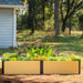 Modern wood composite raised garden bed with colorful flowers, ferns, and kale in a sunny backyard.