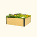Stylish light wood raised planter box with dark trim, bursting with colorful annuals and leafy greens for gardening.