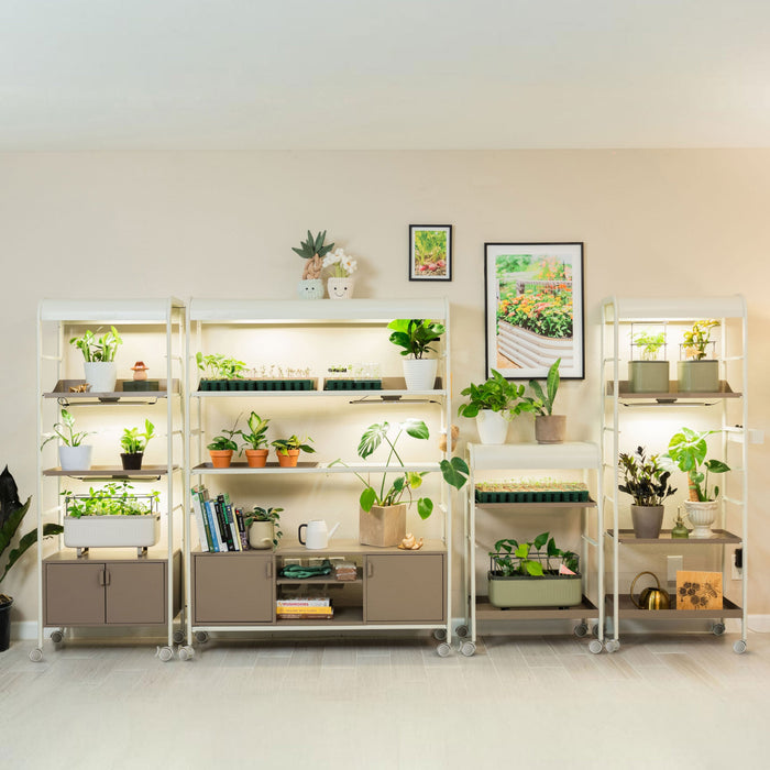 Classic Grow Light