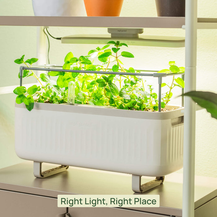 Classic Grow Light
