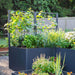 Modern dark gray raised garden beds with trellises, growing cucumbers, basil, scallions, and flowers in a sunny garden.