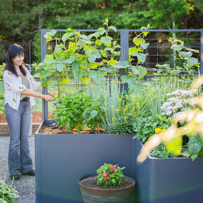 Happy woman tending a modern dark grey raised garden bed with trellis. Features cucumbers, basil, peppers, onions, and flowers.