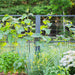Homegrown vegetable garden with cucumber vines, yellow flowers, and basil on a dark metal trellis. Green onions, peppers, and daisies below.