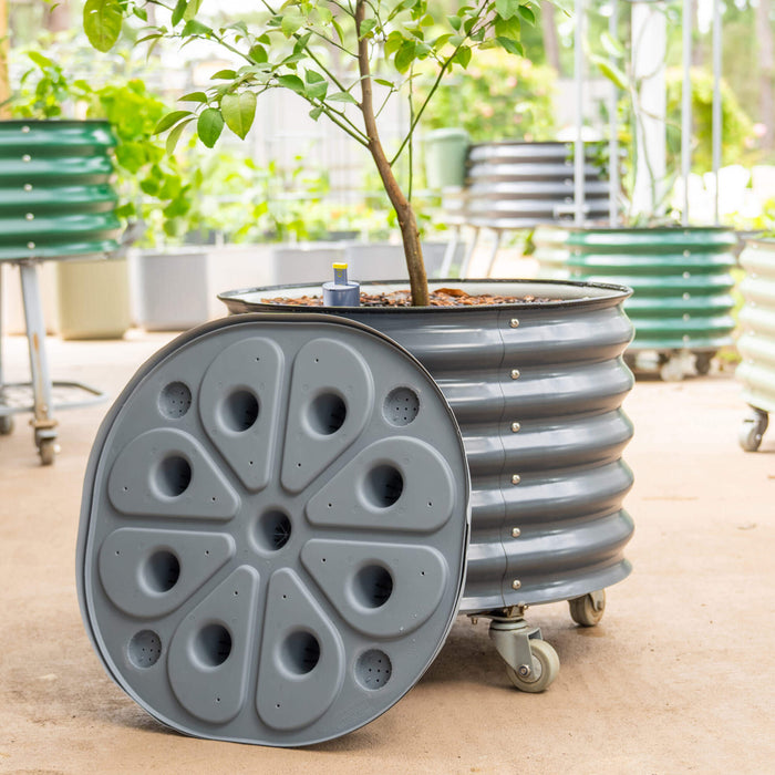 Self-Watering Rolling Citrus Tree Planter - 30 Gallon