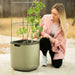 Woman gardening, inspecting a thriving tomato plant in a large self-watering planter pot with a trellis on a patio.