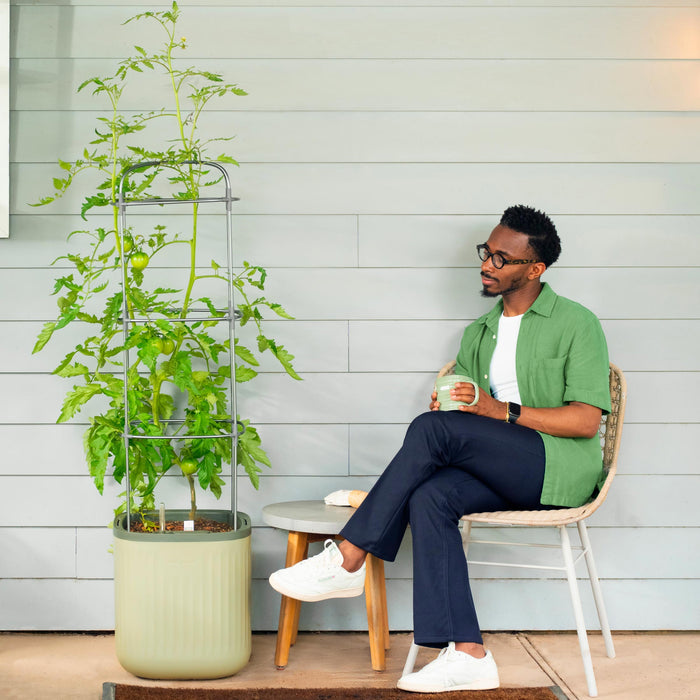 Man relaxing on patio with thriving tomato plant showing green tomatoes in a Vego Garden self-watering planter.