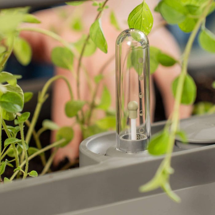 Water level indicator in an indoor herb garden. Green plants growing in a gray self-watering planter.