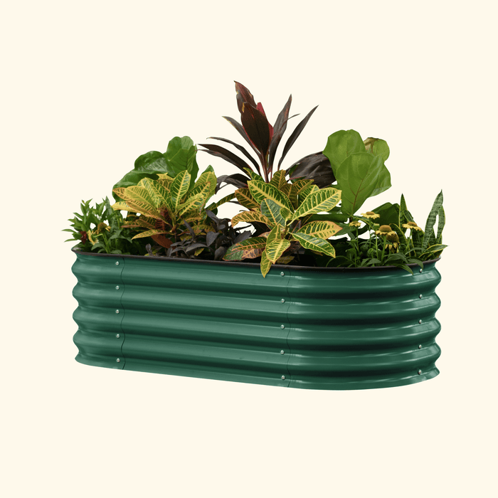 Rectangular dark green corrugated metal raised garden bed with vibrant green, yellow, and red foliage.