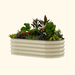 Cream corrugated metal raised garden bed with vibrant plants, herbs, and colorful flowers.