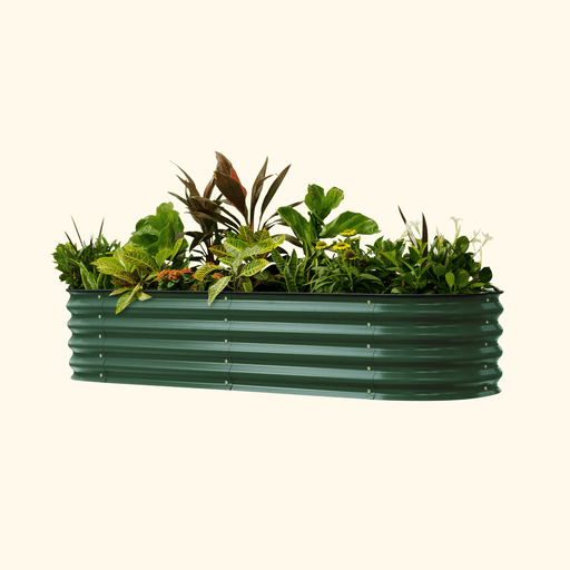 Vibrant plants and blooming flowers in a dark green corrugated steel raised garden bed. Ideal outdoor planter for your garden.
