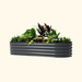 Dark gray corrugated metal raised garden bed planter filled with vibrant green plants, red foliage, and orange flowers.