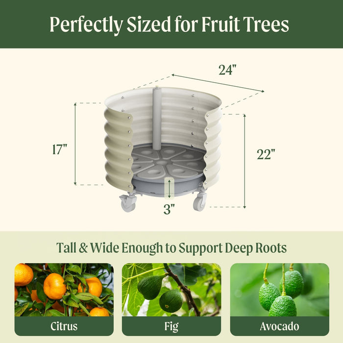 Cream corrugated metal raised garden bed on wheels, 24"x22", ideal for fruit trees like citrus, fig, avocado. Supports deep roots.