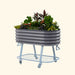 Grey corrugated metal raised garden bed on blue wheeled stand with diverse plants & bottom shelf. Portable patio planter.