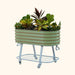 Green corrugated raised garden bed with colorful plants on a blue rolling stand and storage shelf.