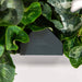 Dark gray Vego plant system component with vibrant green variegated leaves. Ideal for vertical gardens & living walls.