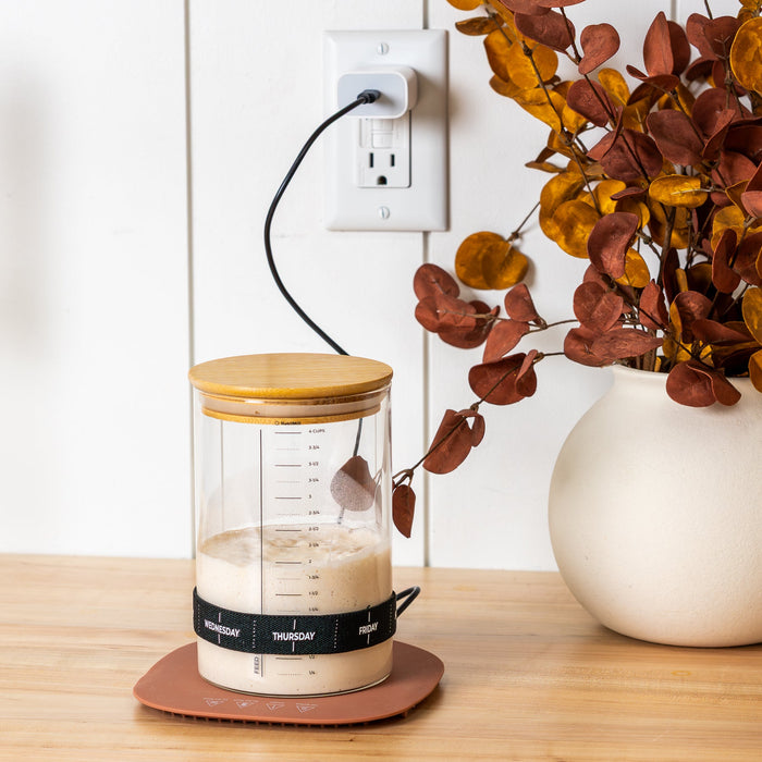 Sourdough Warmer