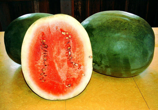 Fresh, juicy watermelon: one sliced showing ripe red flesh and seeds, two whole green watermelons.