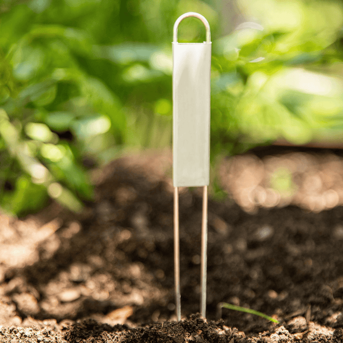 Blank silver garden plant marker with two stakes in rich soil, green background.