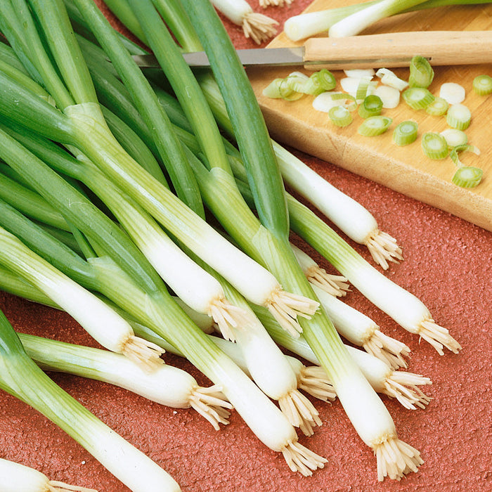 Fresh green onions and chopped scallions on a cutting board with a knife. Healthy cooking ingredient.
