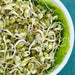 Fresh mung bean sprouts in a white bowl with green lettuce, healthy vegan food.