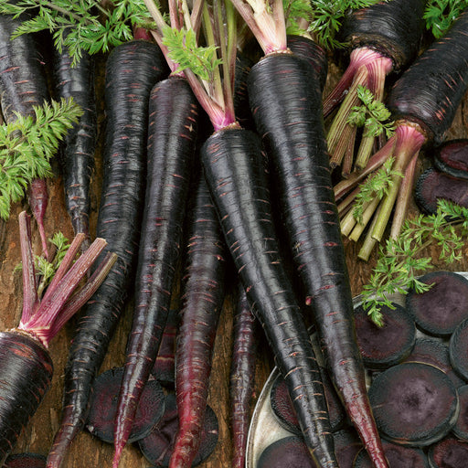 Fresh black carrots with green tops and sliced purple carrots on wood. Healthy heirloom vegetables.