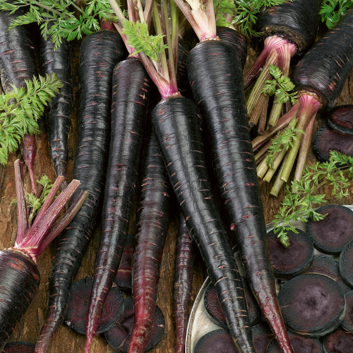 Fresh black carrots with green tops and sliced purple carrots on wood. Healthy heirloom vegetables.