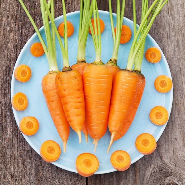 Fresh whole orange carrots with green tops and sliced rounds arranged on a blue plate. Healthy raw vegetables.
