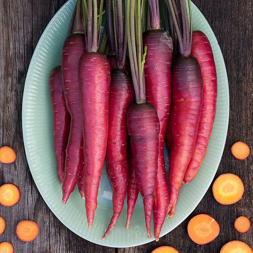 Vibrant heirloom purple and red carrots on a green plate. Sliced orange carrots on rustic wood.