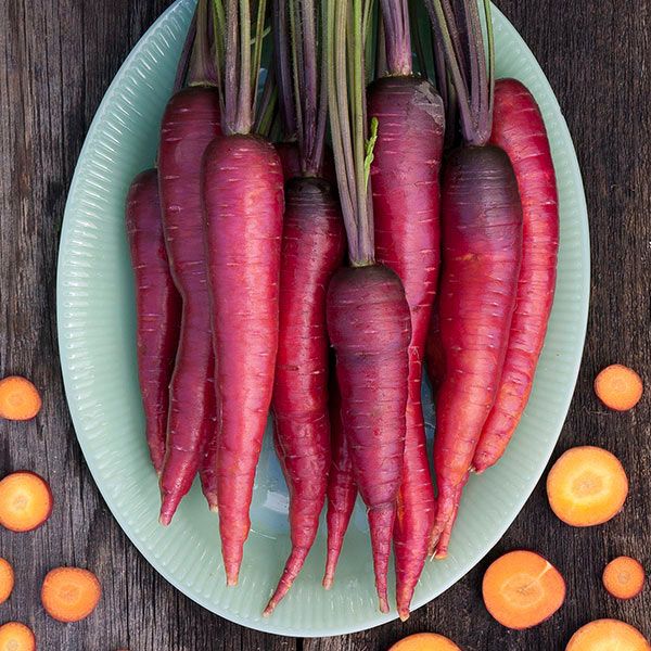 Vibrant heirloom purple and red carrots on a green plate. Sliced orange carrots on rustic wood.