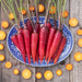 Vibrant red heirloom carrots with green tops on a blue plate, surrounded by orange slices on rustic wood.
