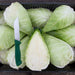 Fresh green cabbage, whole and halved, revealing crisp white interior, with a knife.