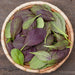 Woven basket filled with fresh red and green leafy mustard greens. Organic vegetables, healthy harvest.